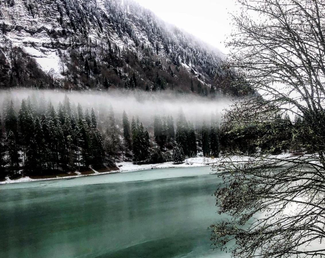 Le Petit Nid d'amour Montriond Extérieur photo