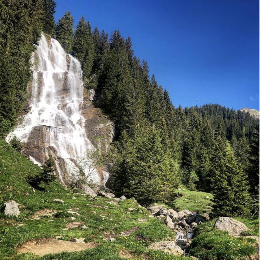 Le Petit Nid d'amour Montriond Extérieur photo