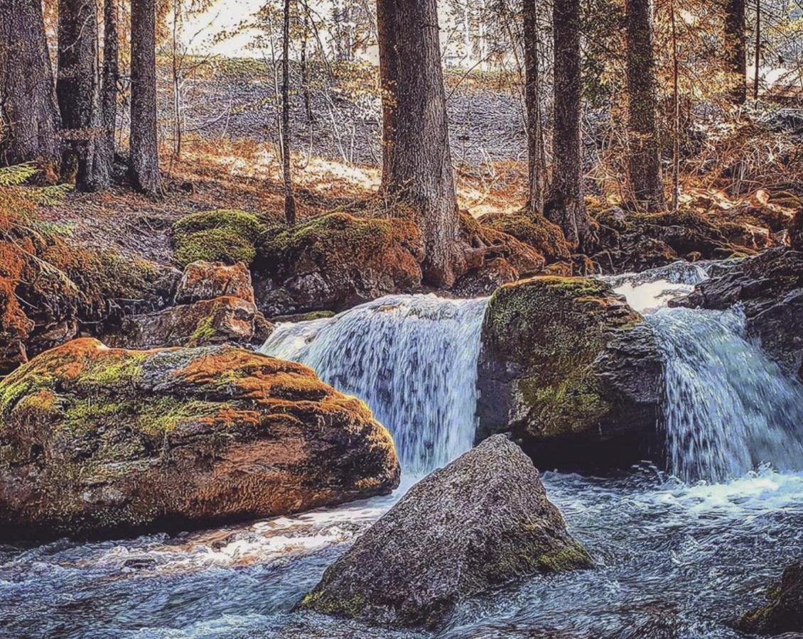 Le Petit Nid d'amour Montriond Extérieur photo