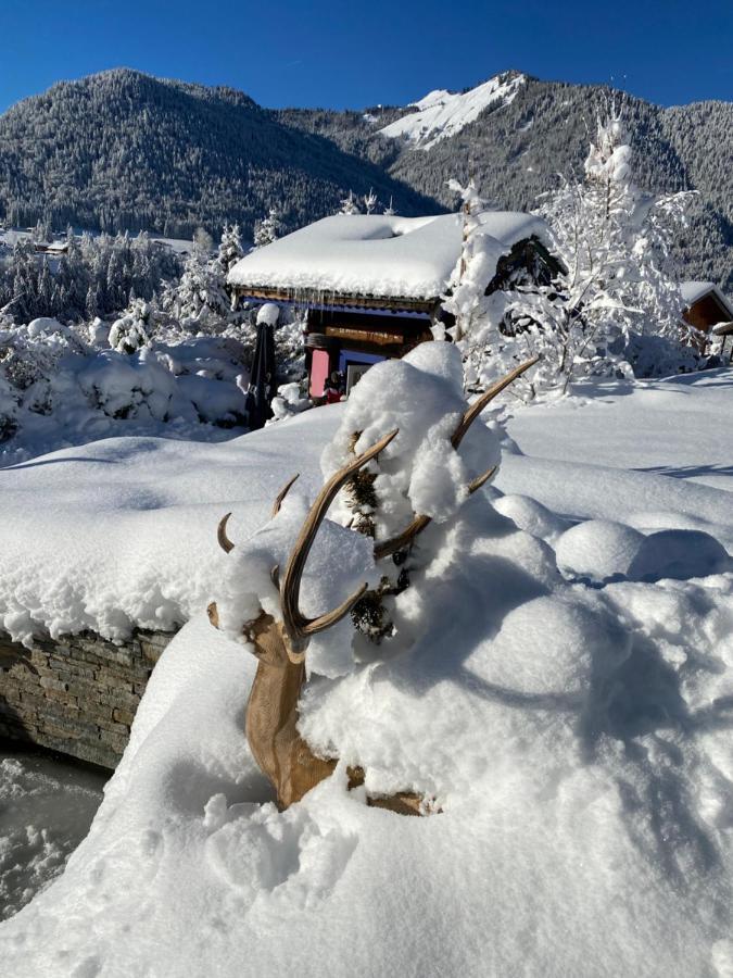 Le Petit Nid d'amour Montriond Extérieur photo