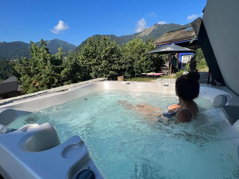 Le Petit Nid d'amour Montriond Extérieur photo