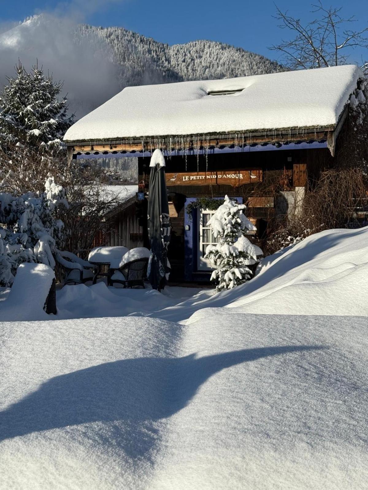 Le Petit Nid d'amour Montriond Extérieur photo