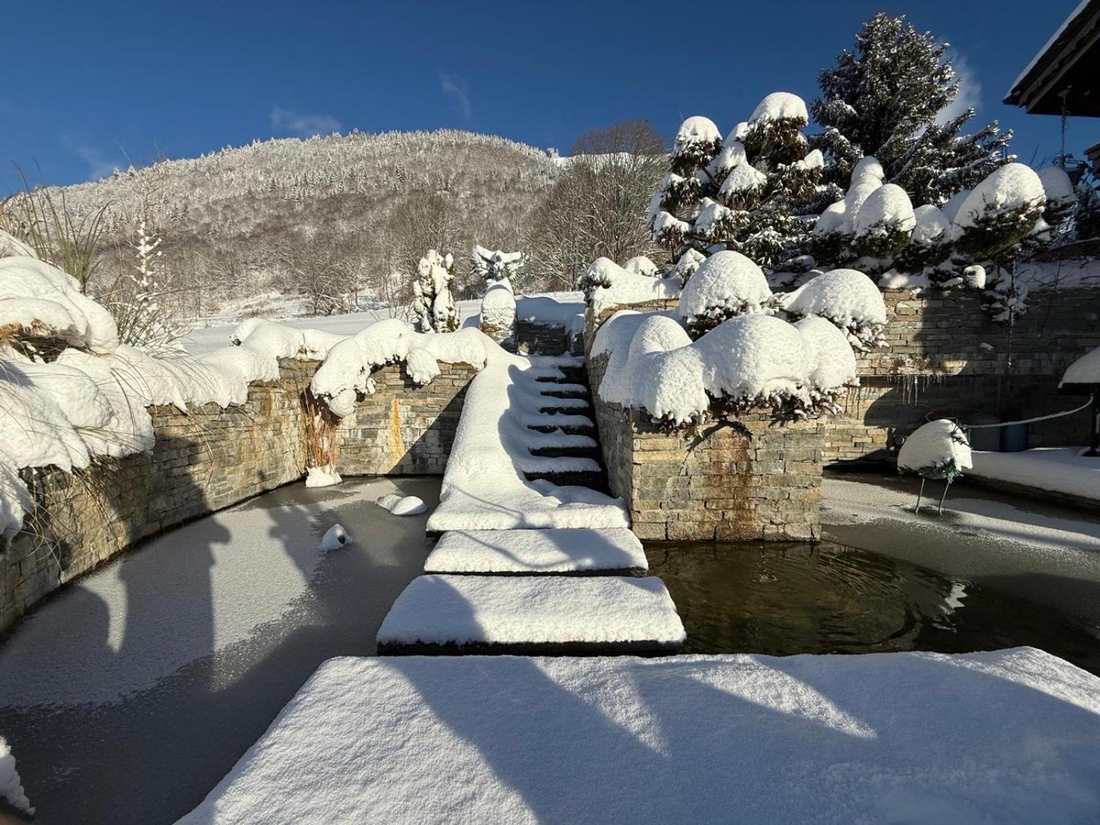 Le Petit Nid d'amour Montriond Extérieur photo
