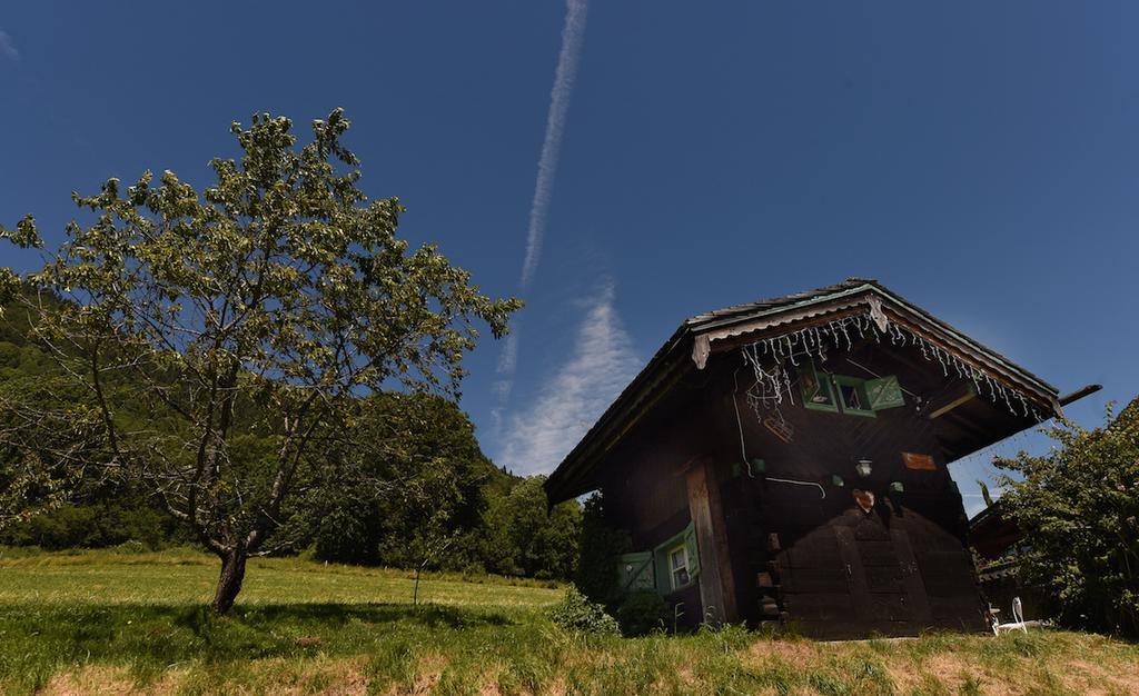 Le Petit Nid d'amour Montriond Extérieur photo