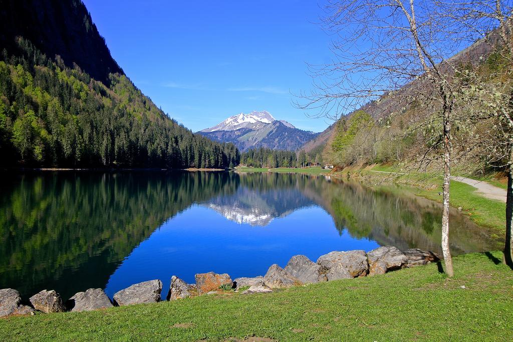 Le Petit Nid d'amour Montriond Extérieur photo