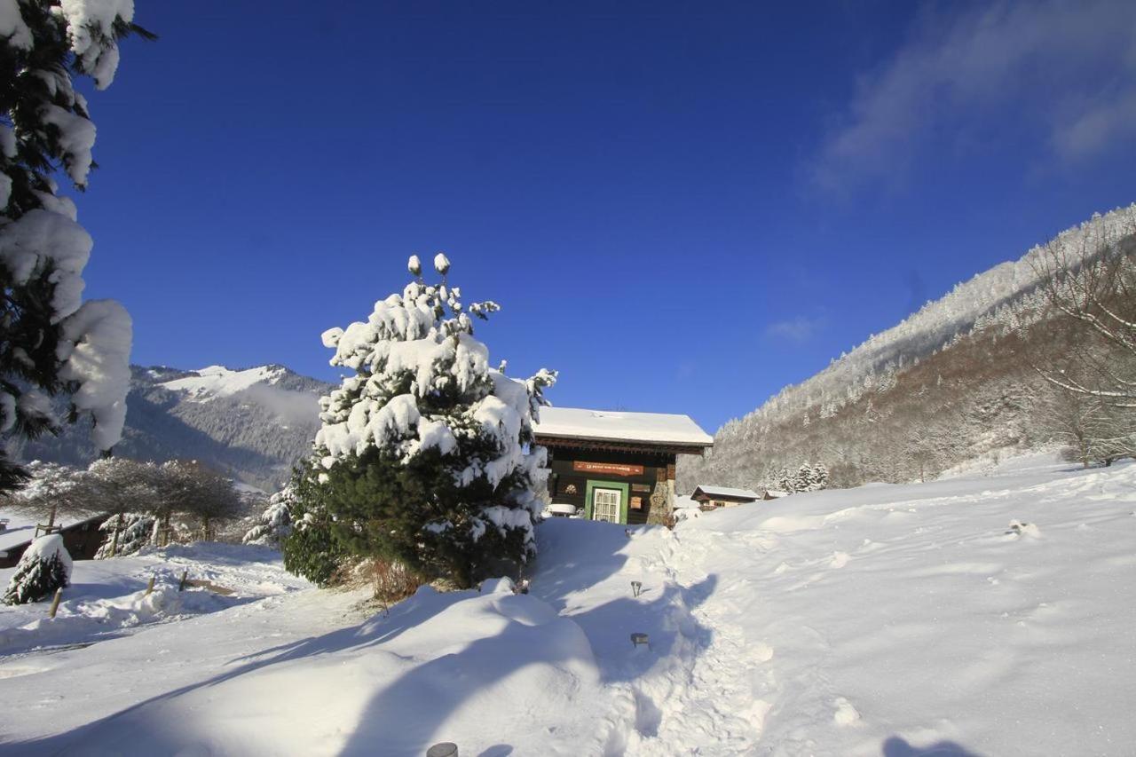 Le Petit Nid d'amour Montriond Extérieur photo